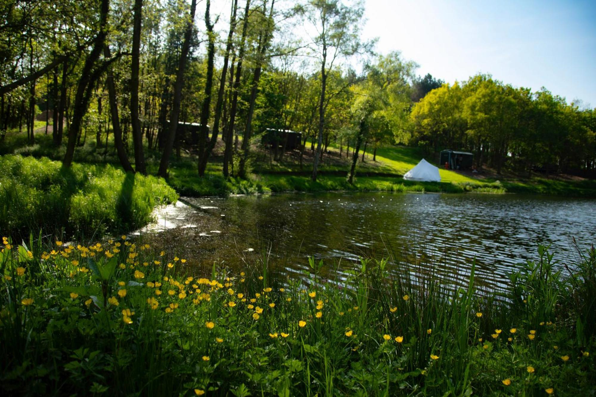 North Norfolk Glamping Holt (Norfolk)