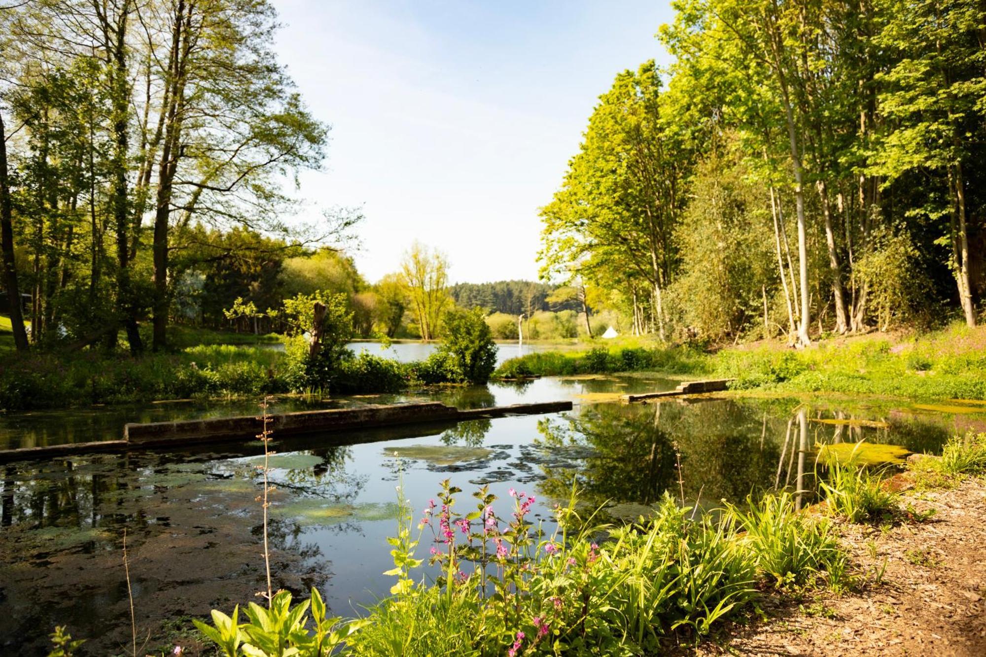 North Norfolk Glamping
