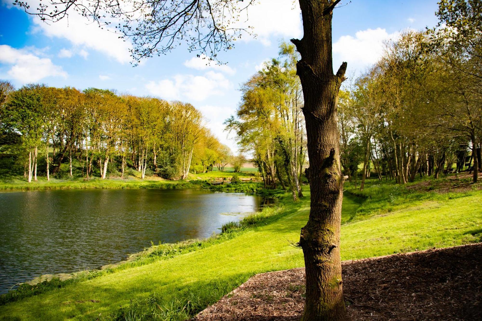 Lodge North Norfolk Glamping Holt (Norfolk)