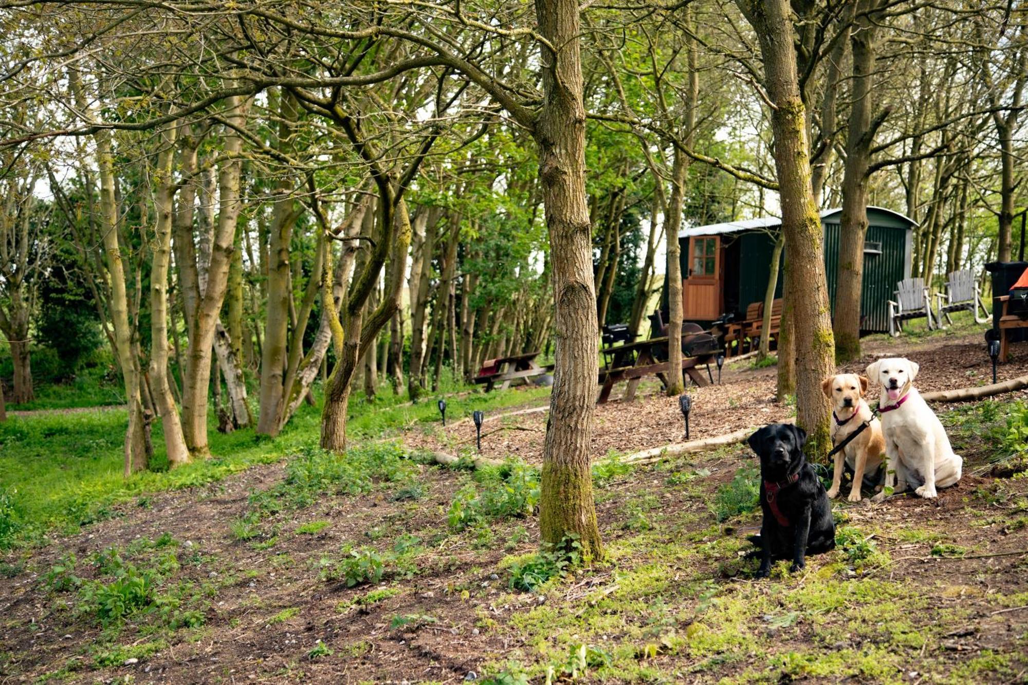 North Norfolk Glamping *