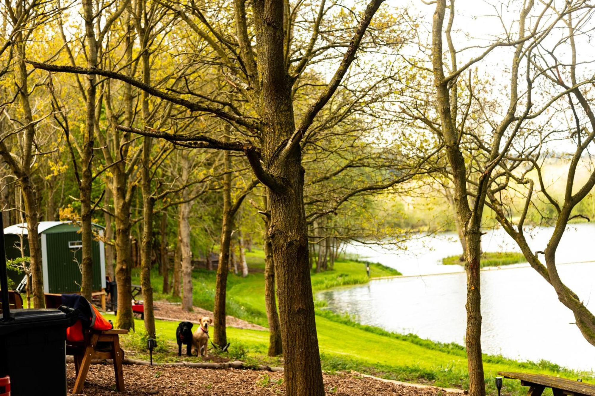 North Norfolk Glamping Lodge