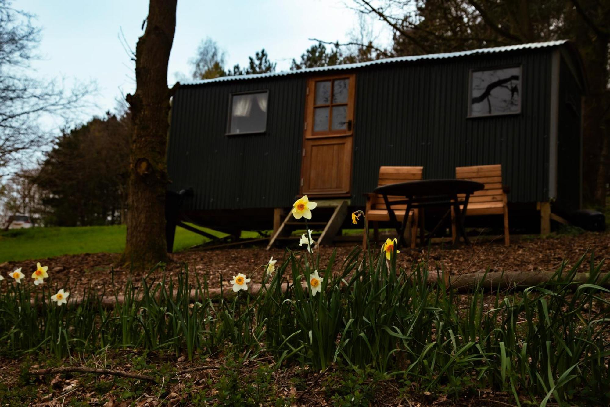 Lodge North Norfolk Glamping