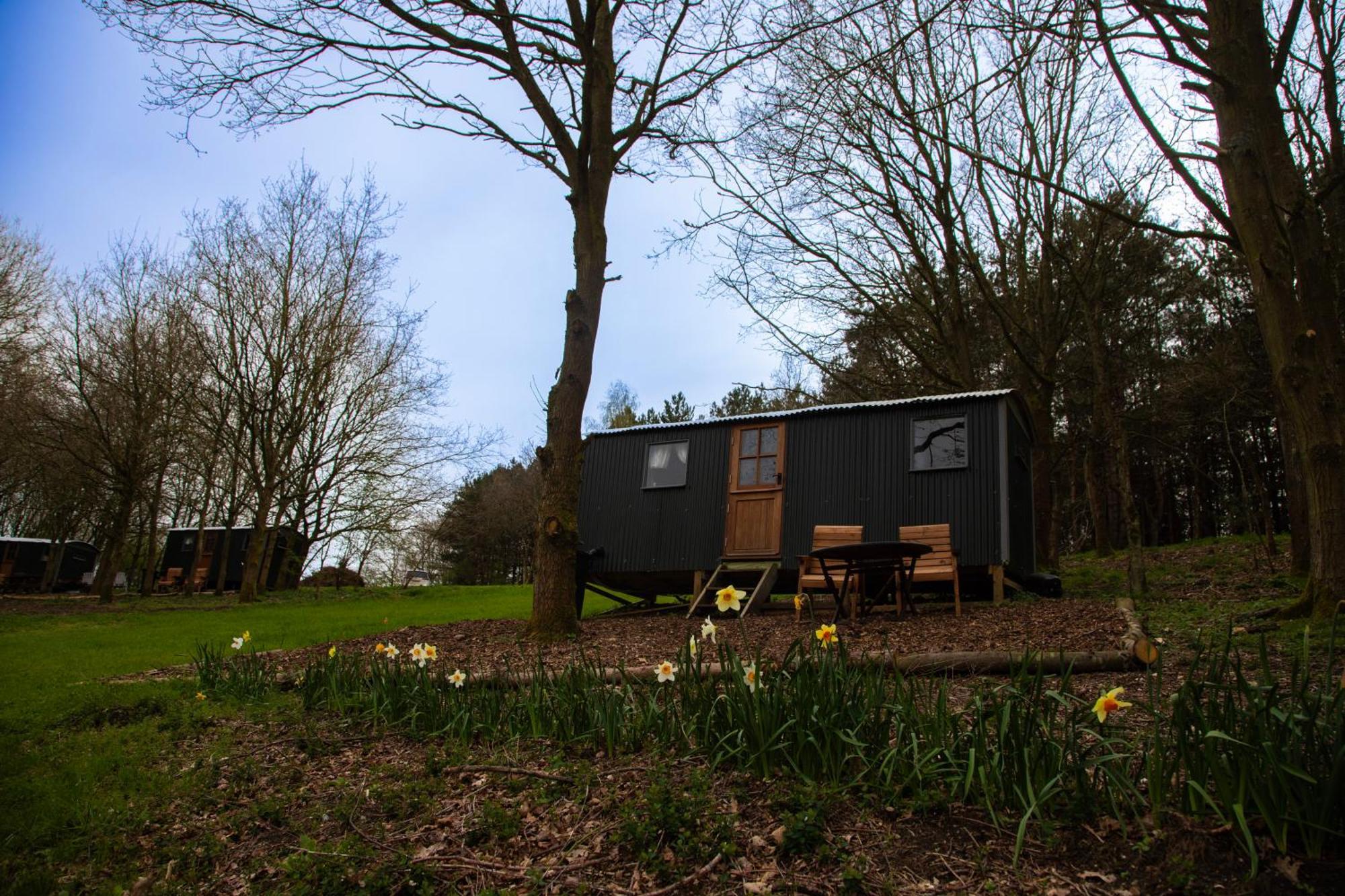 North Norfolk Glamping Lodge *