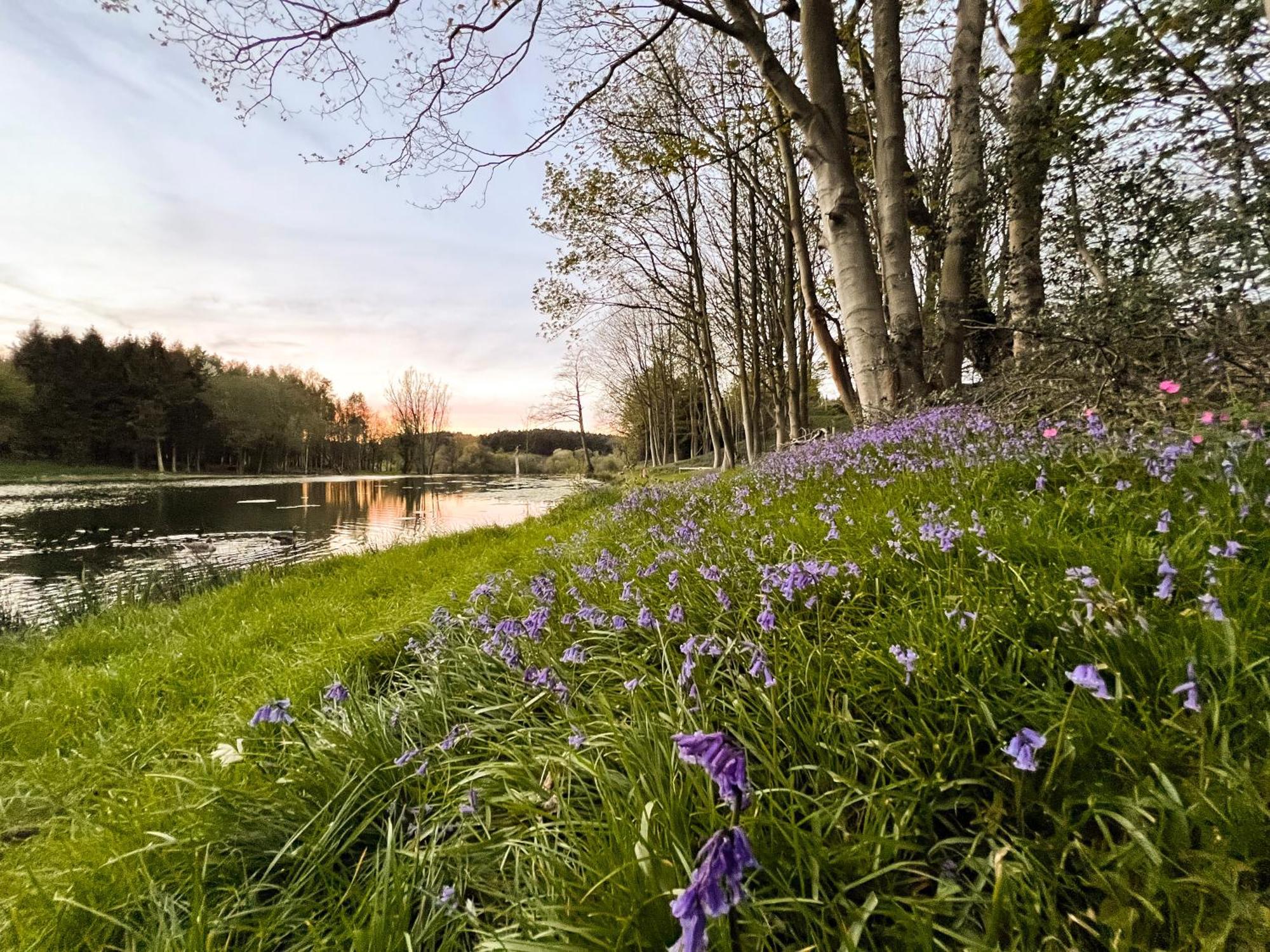 North Norfolk Glamping Holt (Norfolk)