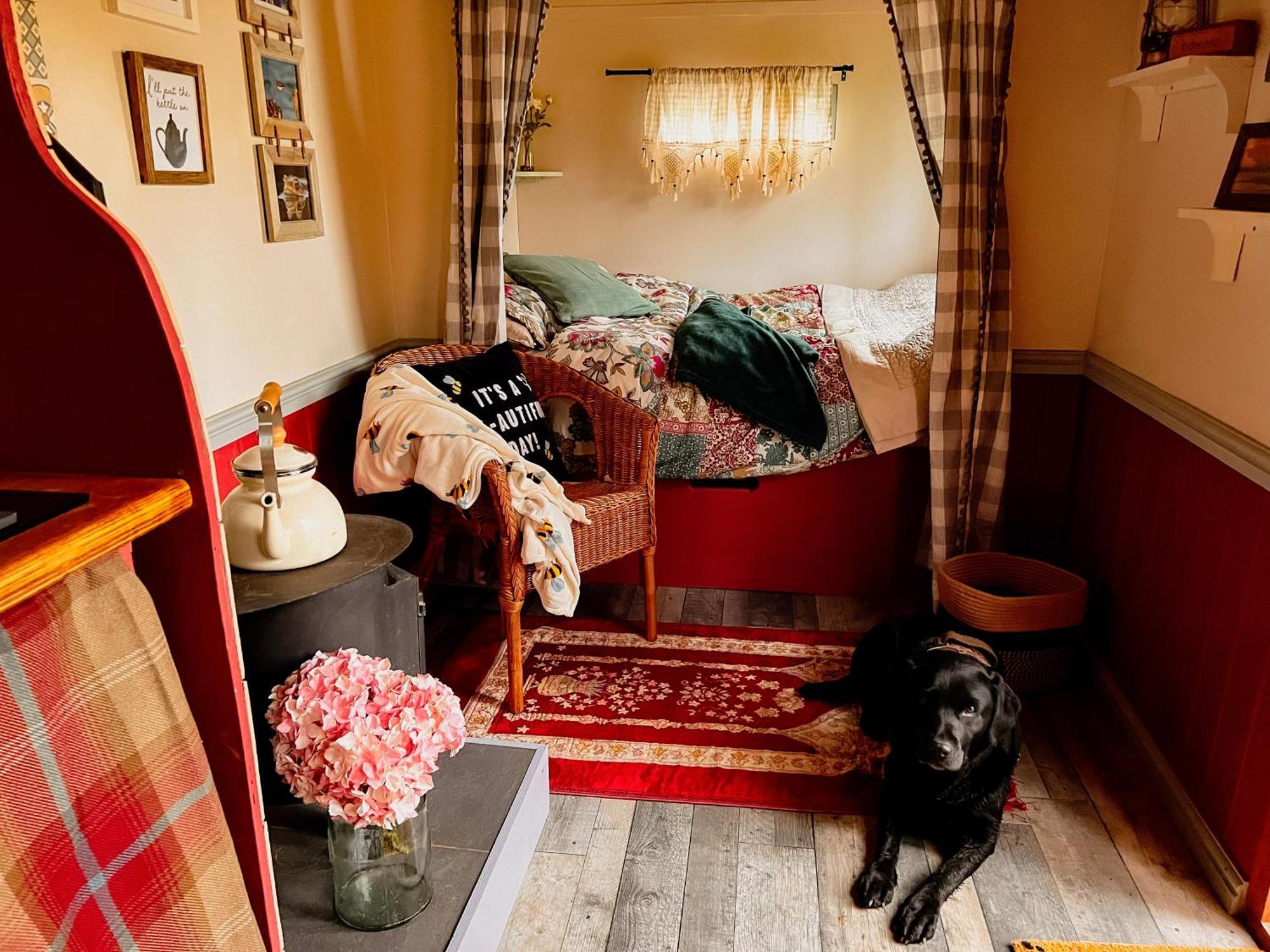 Lodge North Norfolk Glamping