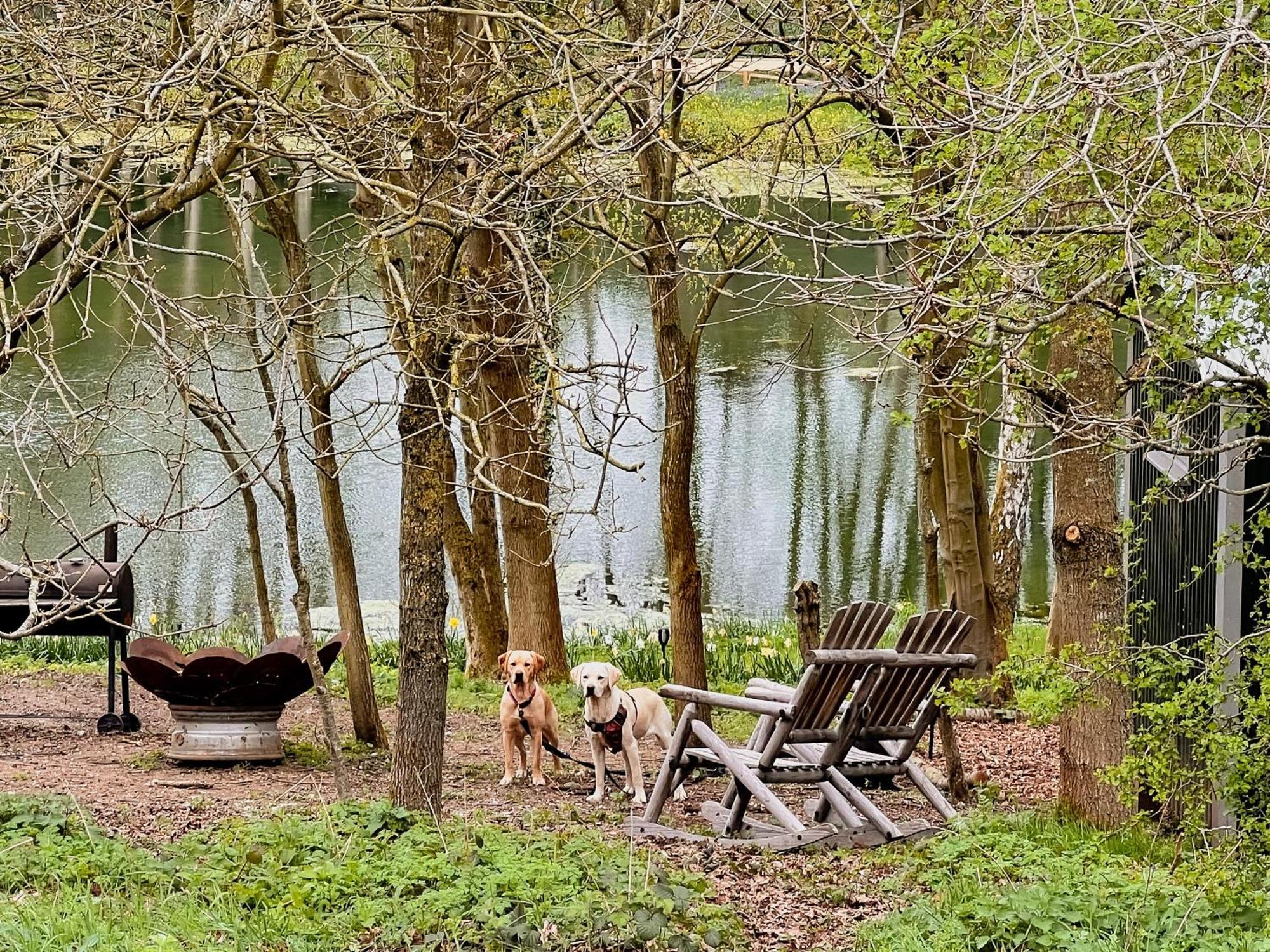 North Norfolk Glamping Lodge Holt (Norfolk)