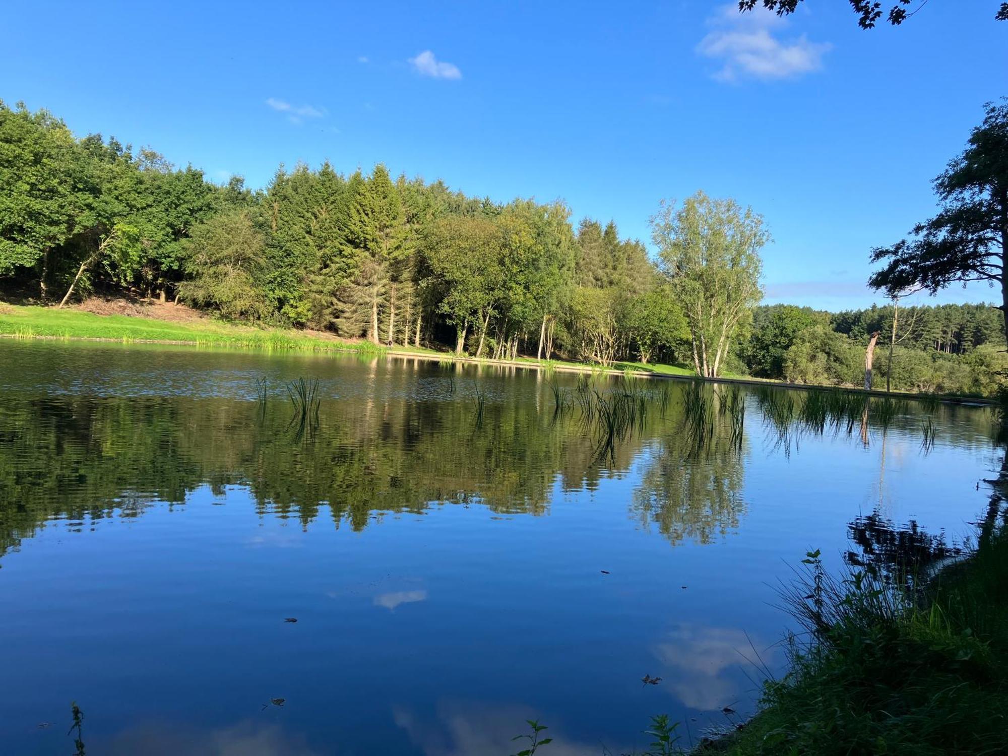 North Norfolk Glamping * Holt (Norfolk)