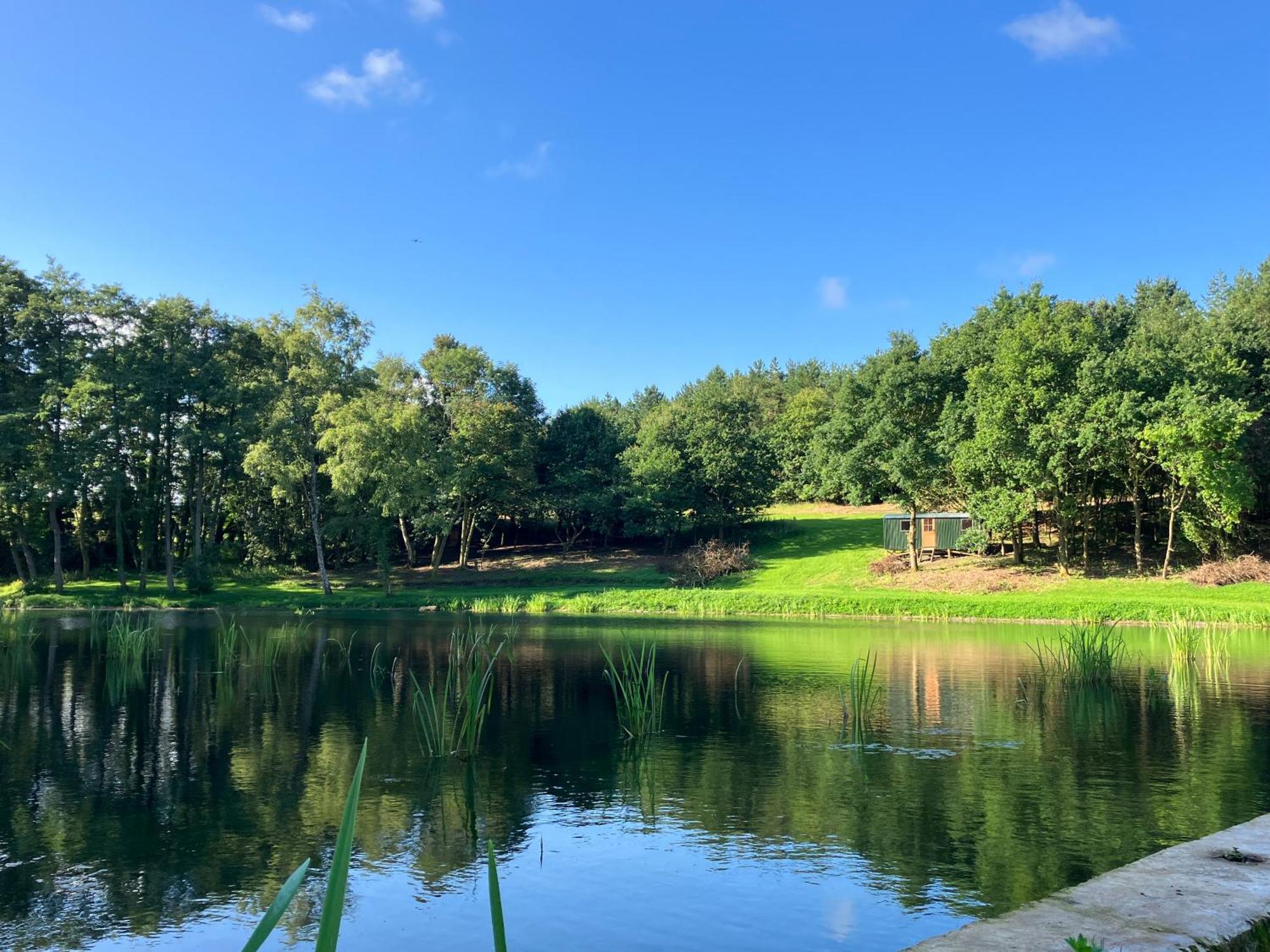 Lodge North Norfolk Glamping Holt (Norfolk)