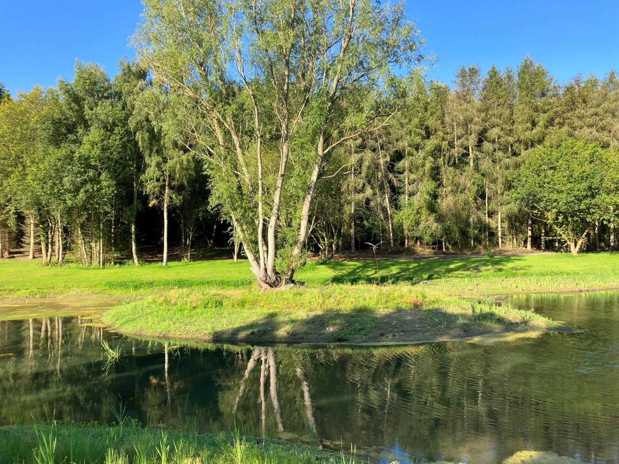 North Norfolk Glamping Lodge Holt (Norfolk)