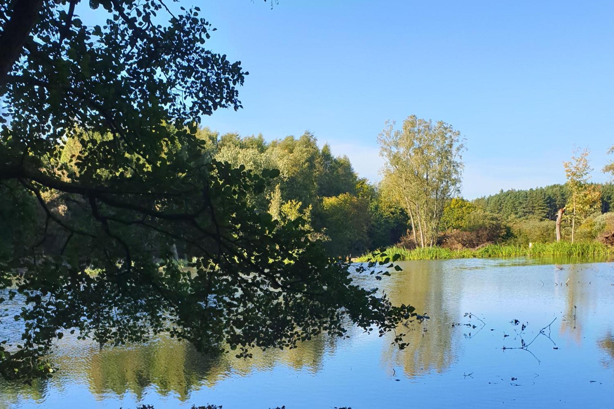 North Norfolk Glamping *