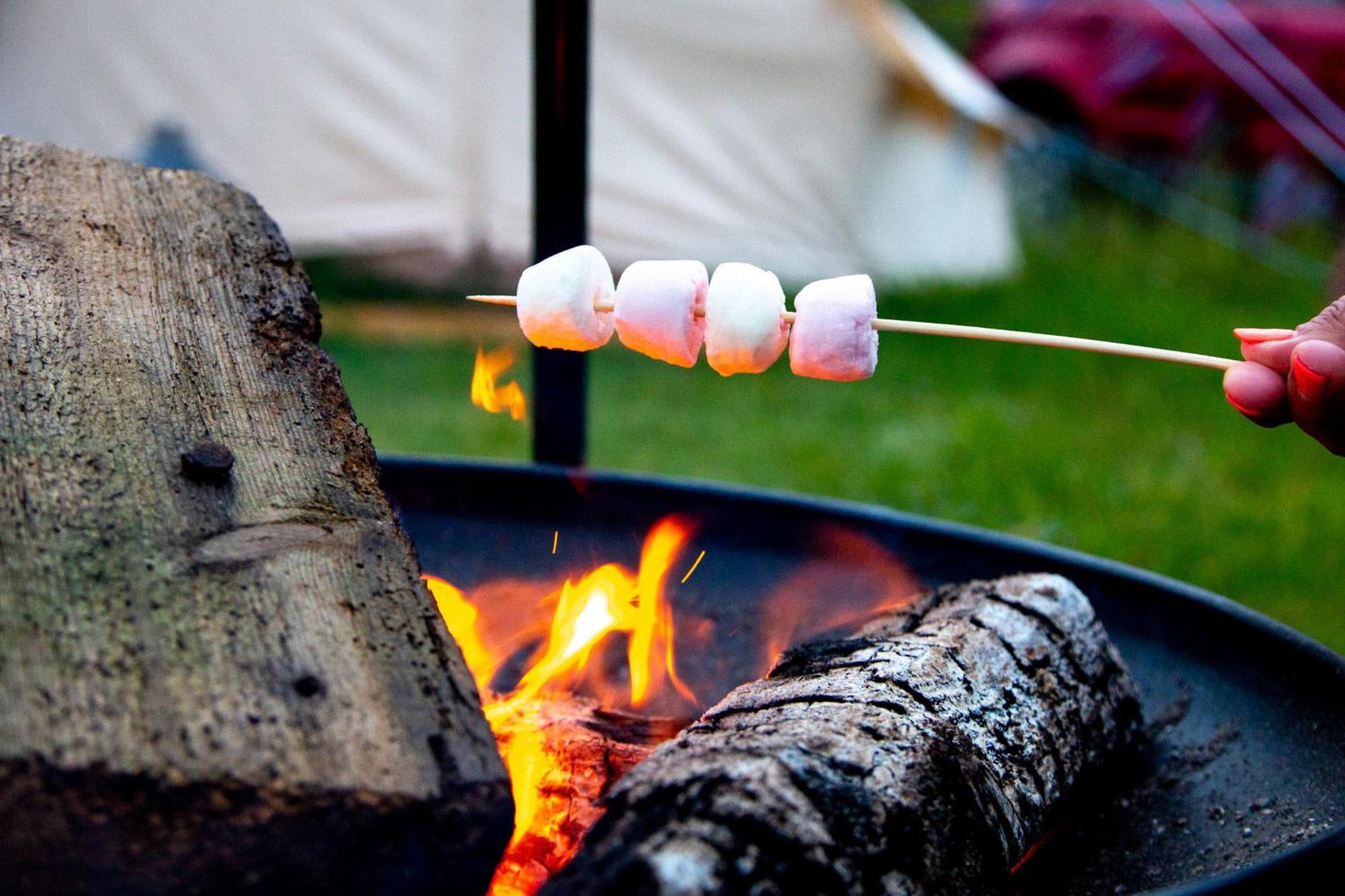 North Norfolk Glamping Lodge Holt (Norfolk)