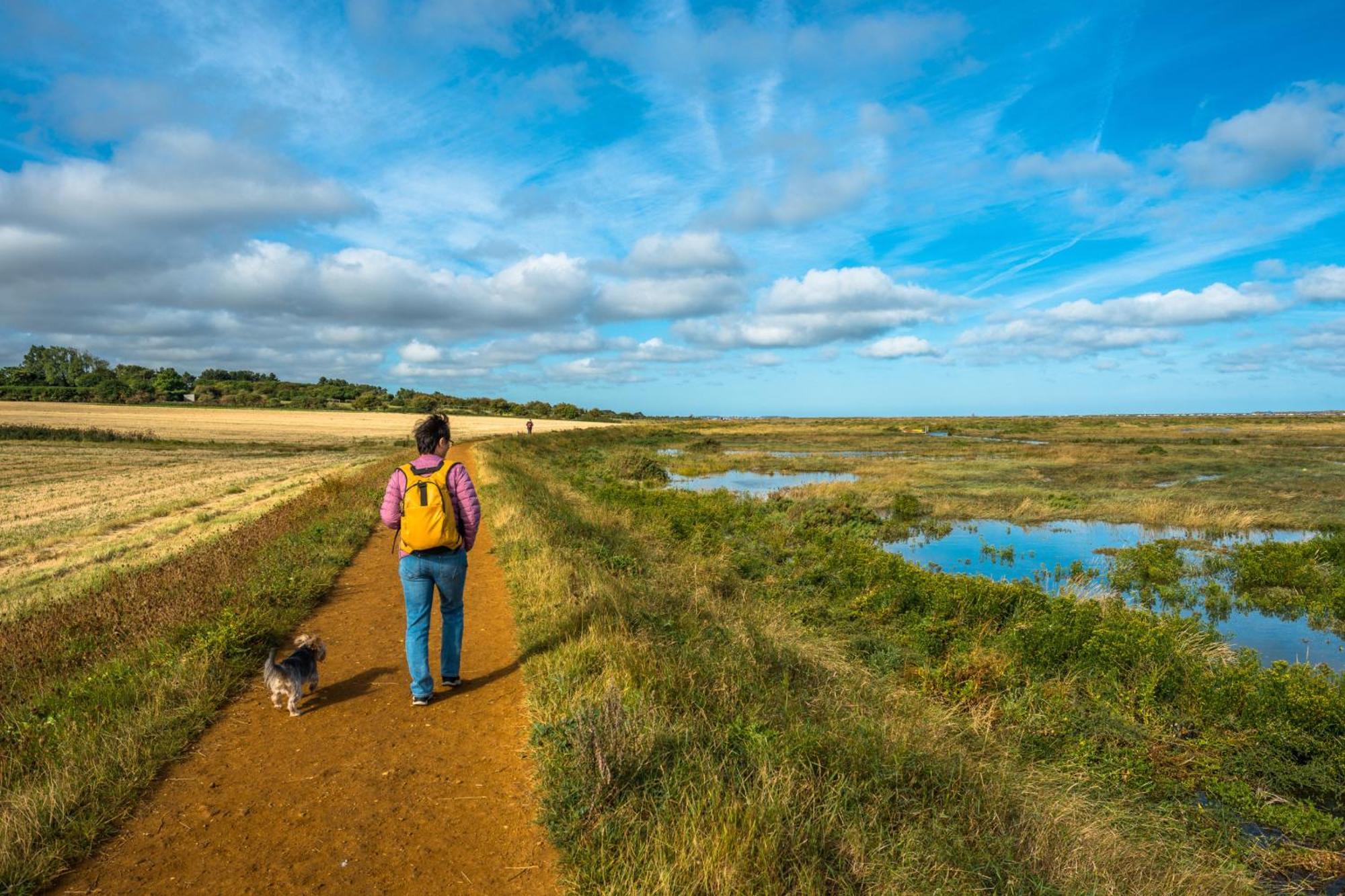 North Norfolk Glamping Holt (Norfolk)