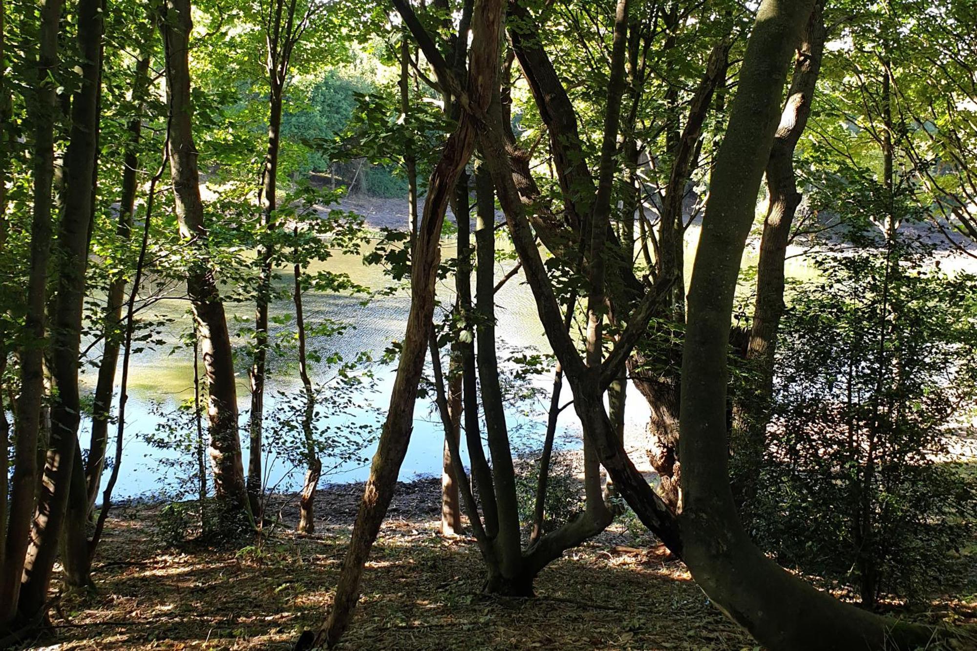Lodge North Norfolk Glamping